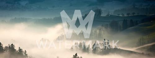 How to Watermark Photos in Photoshop