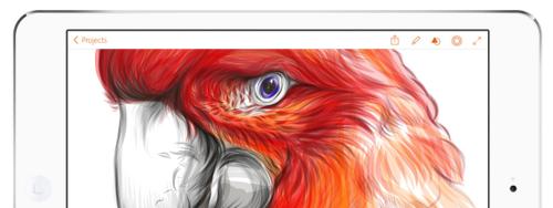 Five Incredible iPad Apps that No Designer Can Live Without