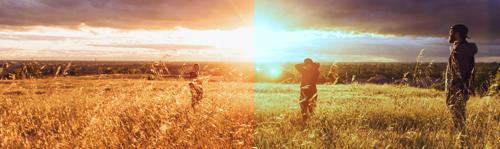 Photoshop Quick Tip: How to Swap Colors Between Photos