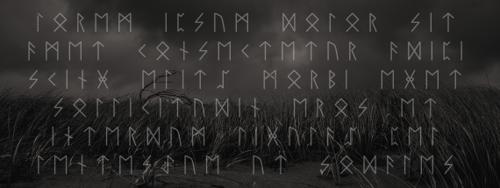 8 Nordic Runes Symbols Fonts and Typefaces
