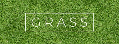 19 Seamless Grass Textures for Green Lawns and Pastures (Updated 2023!)