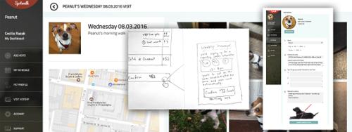 Designing for Usability When You're a Novice Designer