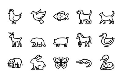 Animal Vector Line Icons