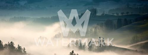 How to Watermark Photos in Photoshop