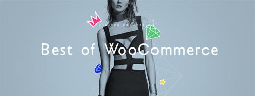 Reviewed: The 5 Best WooCommerce Themes of 2018