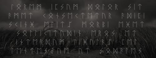 8 Nordic Runes Symbols Fonts and Typefaces