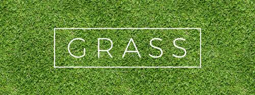 19 Seamless Grass Textures for Green Lawns and Pastures (Updated 2023!)