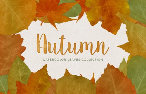 Watercolor Autumn Leaves Collection