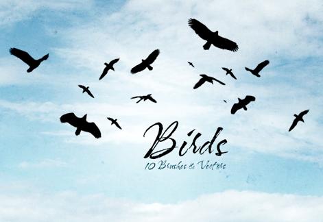 Bird Silhouettes
