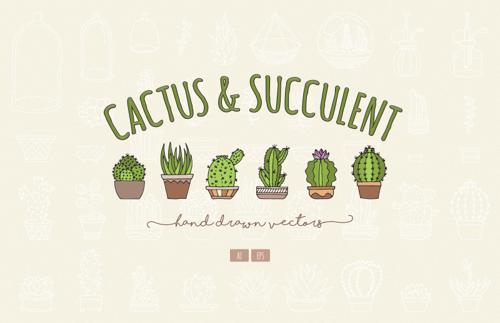 Hand Drawn Cactus & Succulent Vectors