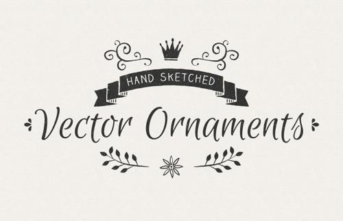 Hand Sketched Vector Ornaments