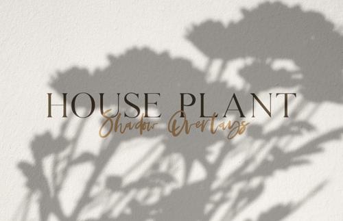 House Plant Shadow Overlays