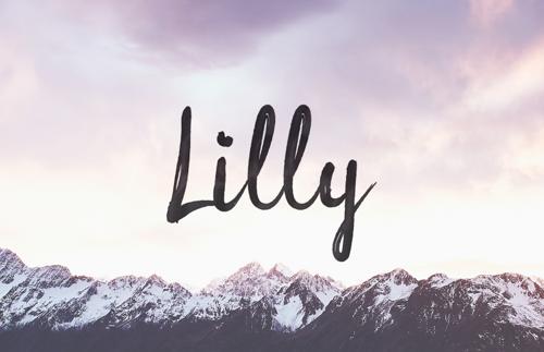 Lilly: Free Brush Script Font