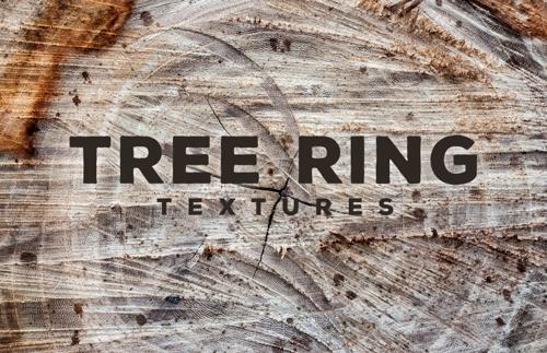 Tree Ring Textures