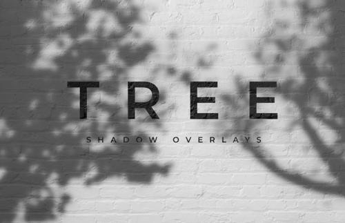 Outdoors Tree Shadow Overlays