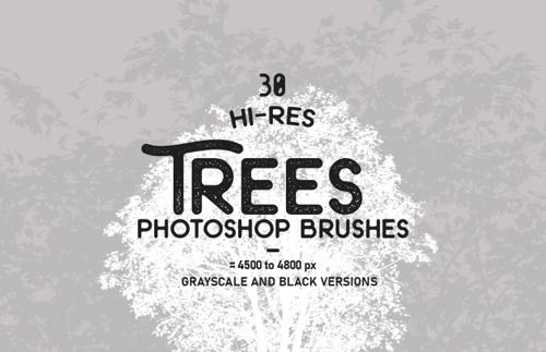 Trees Photoshop Brushes
