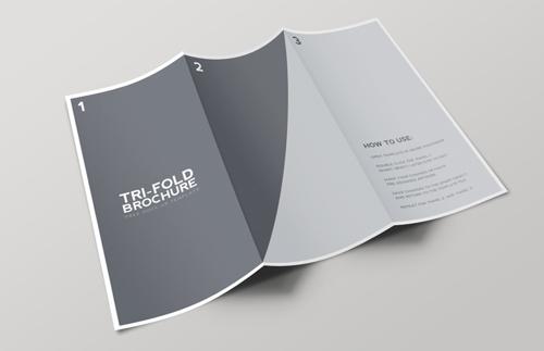 Tri-Fold Brochure Mockup Template