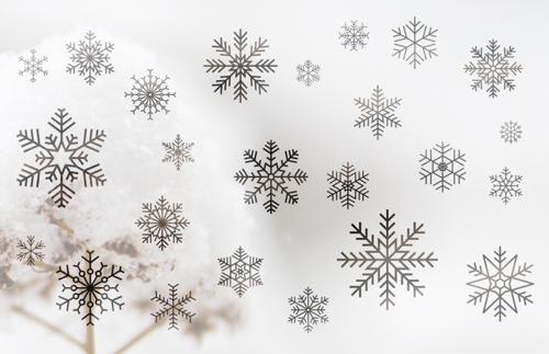 Vector Snowflakes