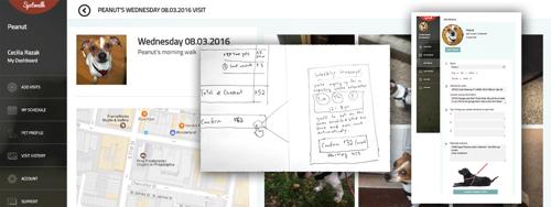 Designing for Usability When You're a Novice Designer