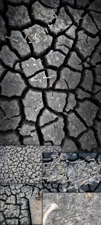 Menacing Dried Lake Bed Textures