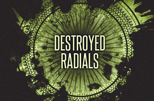 24 Decorative Radial Vectors