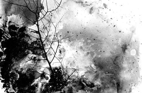 Perennial Splatters – Photoshop Brush Set