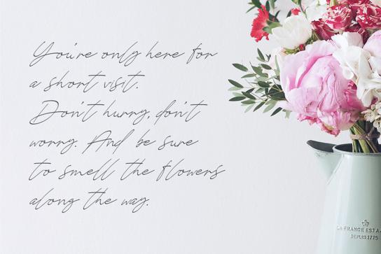 Anders Signature - Handwritten Font