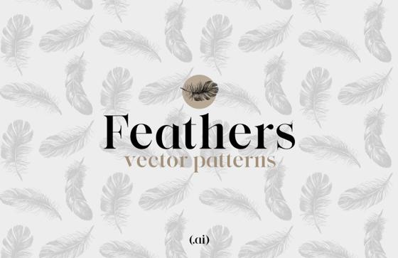 Feathers Vector Patterns