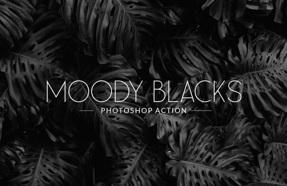 Moody Blacks Photoshop Action