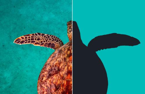 How to Convert any Image into a Custom Shape in Photoshop