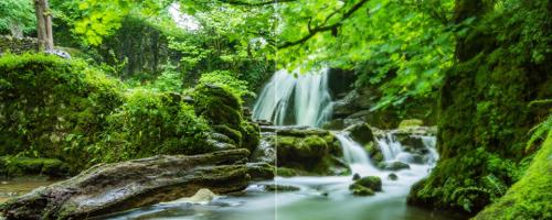 How to Create an Orton Effect in Photoshop
