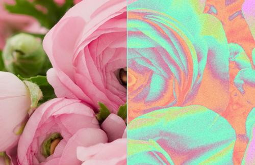 How to Make a Mind-Bending Color Photo Effect in Photoshop