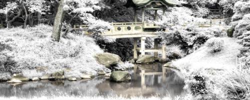 How to Make a Fake Color Infrared Effect in Photoshop