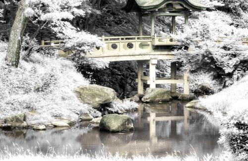 How to Make a Fake Color Infrared Effect in Photoshop