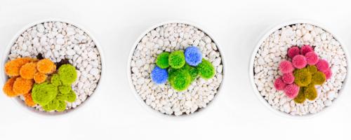 How to Quickly Replace a Color on an Image in Photoshop