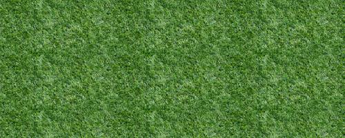 Make Your Own Seamless Grass Texture