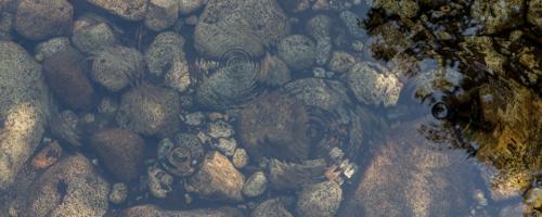 Circular Ripples: Create a Water Effect in Photoshop