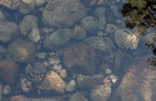 Circular Ripples: Create a Water Effect in Photoshop
