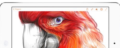 Five Incredible iPad Apps that No Designer Can Live Without