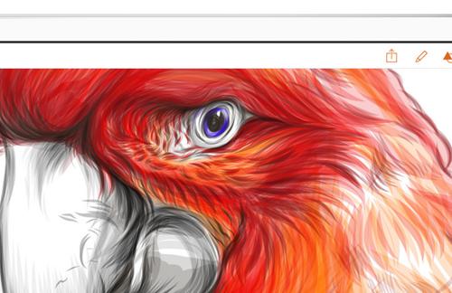 Five Incredible iPad Apps that No Designer Can Live Without