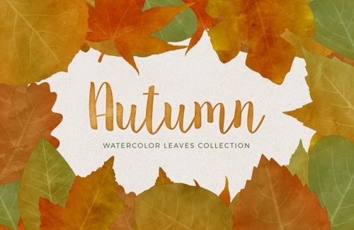Watercolor Autumn Leaves Collection