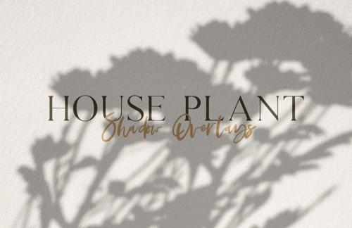 House Plant Shadow Overlays