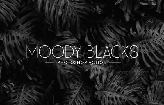 Moody Blacks Photoshop Action