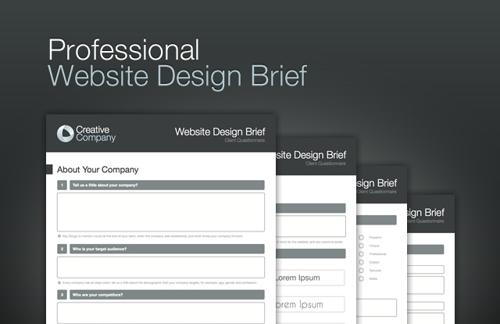 Professional Website Design Brief