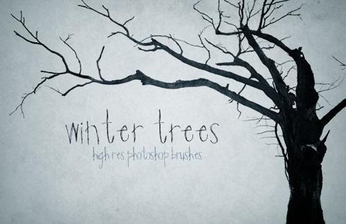 Winter Trees