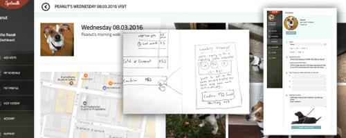 Designing for Usability When You're a Novice Designer