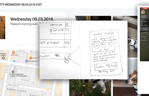 Designing for Usability When You're a Novice Designer