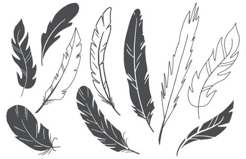 Hand Drawn Vector Feathers